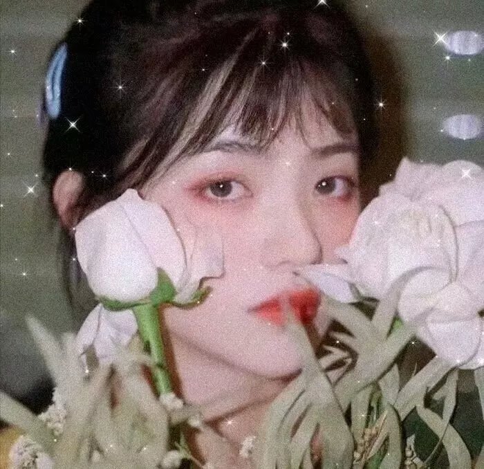 安娜·丽莎